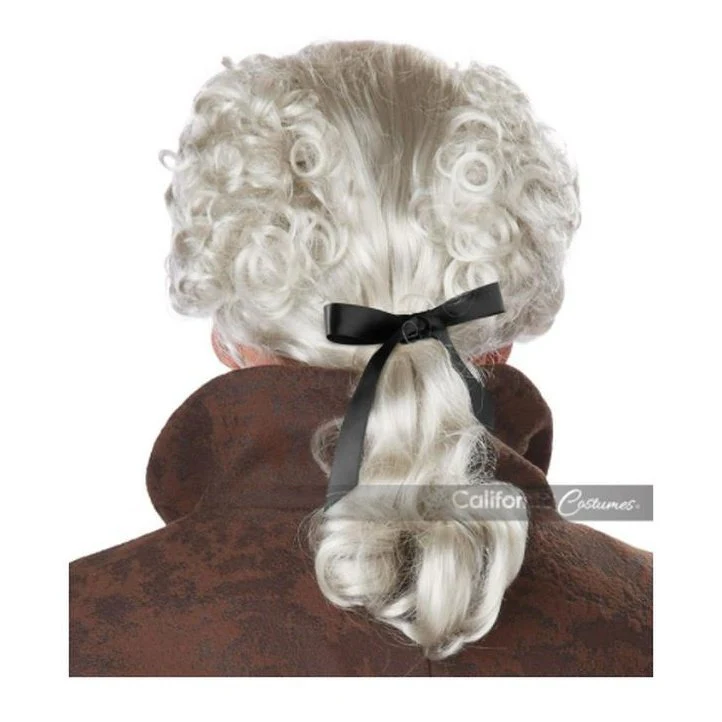 18 Th Century Peruke Wig / Adult - Image 2