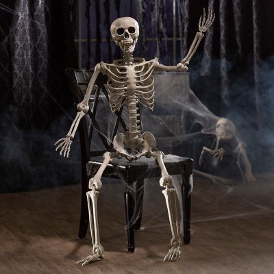 5 Ft. Life-Size Posable Skeleton