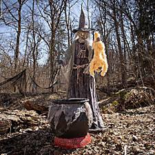 Animated Cat Tastrophe Without Fog Machine - Image 2