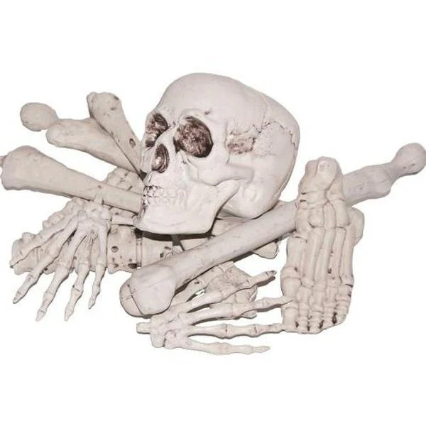 Bag Of Bones.