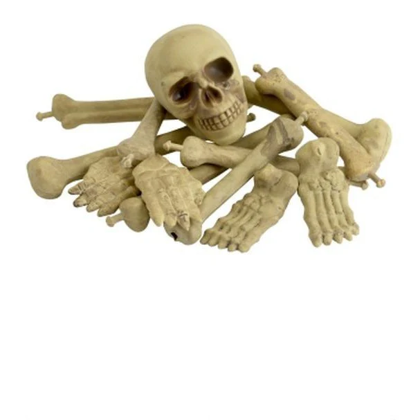 Bag Of Bones & Skull