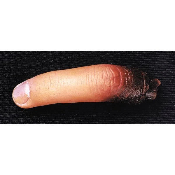 Cut Off Finger New - Image 2