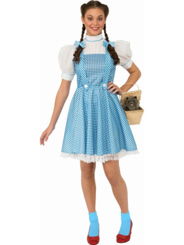 Dorothy Costume Size L - Image 2