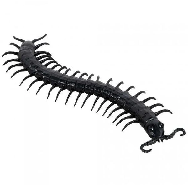 Giant Centipede Prop