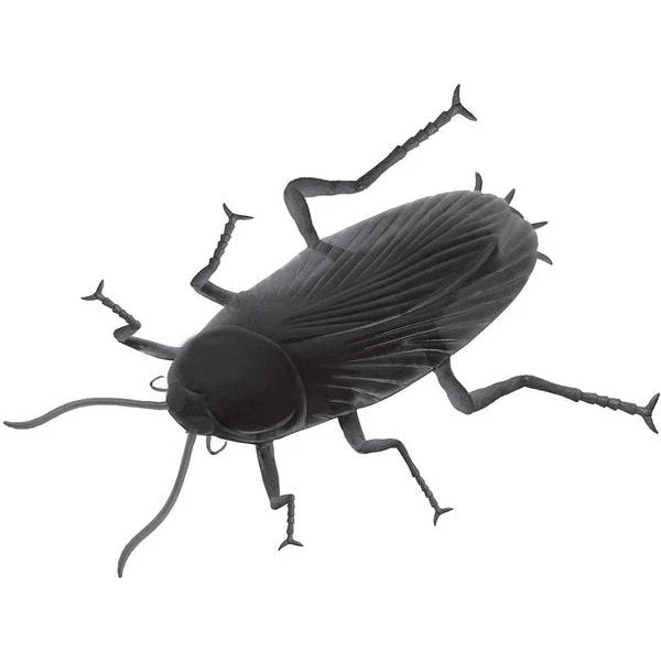 Giant Cockroach Prop