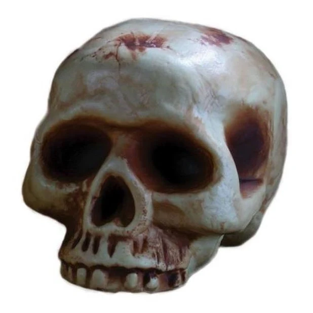 Half Jaw Skull Prop 20cm