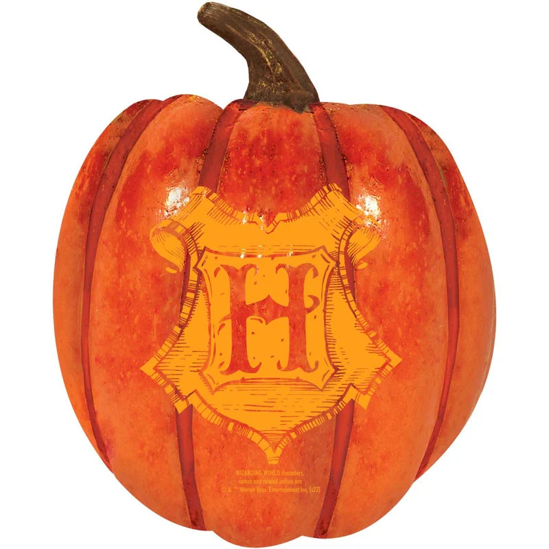 Harry Potter Halloween Foam Pumpkin Prop - Image 2