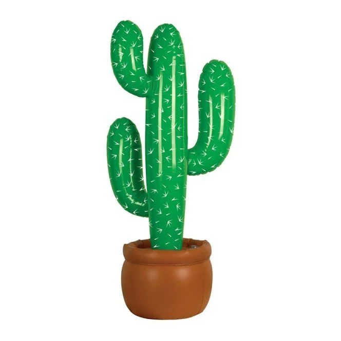 Inflatable Cactus & Pot