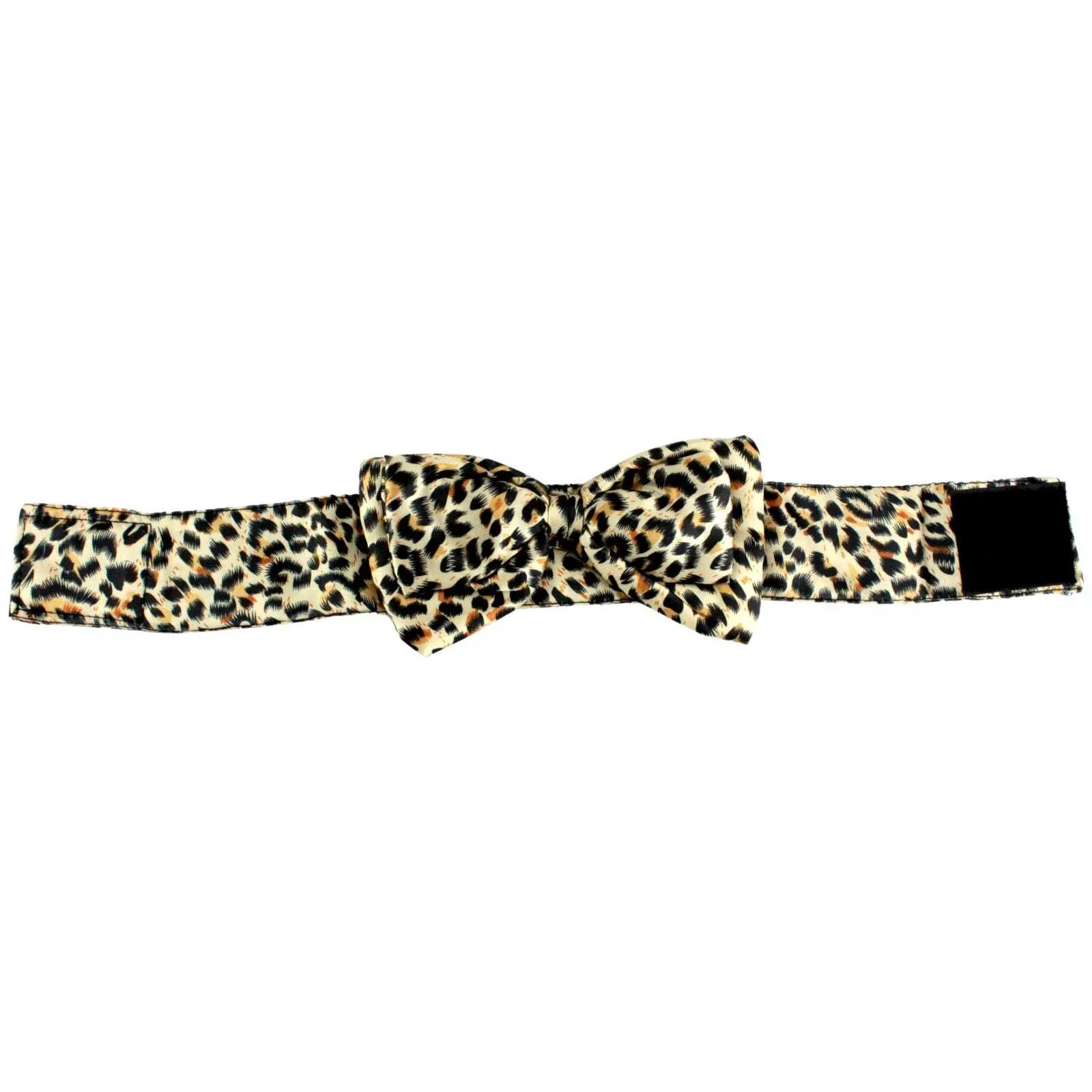 Leopard Bow Tie - Image 2