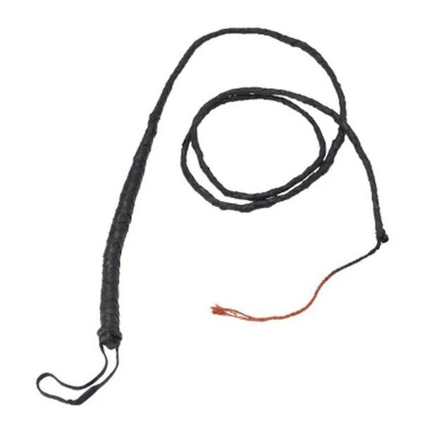 Long Bull Whip