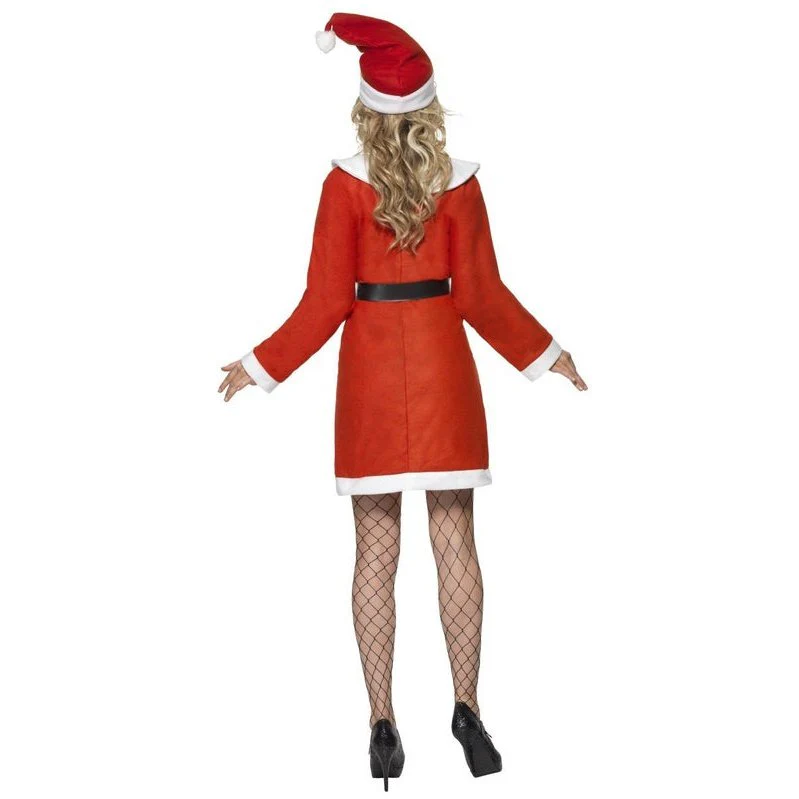 Miss Santa Costume. - Image 3