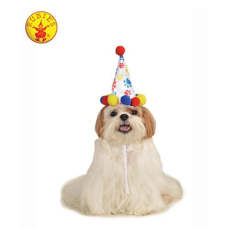 Paw Print Boy Pet Birthday Hat Size M L