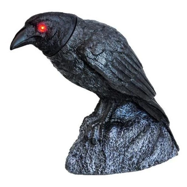 Raven Head Turning With Sound - Image 2