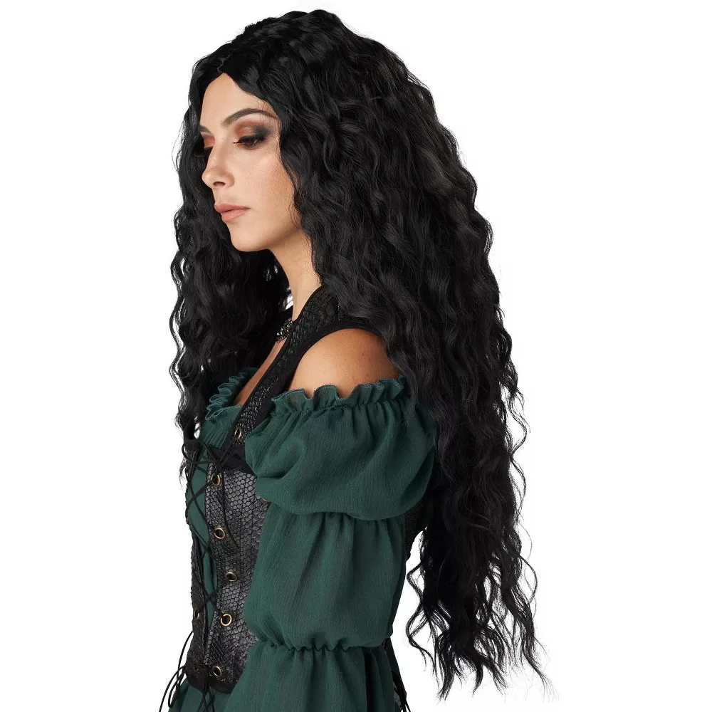 Renaissance Maiden Adult Wig (Black) - Image 3