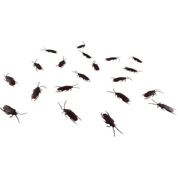 Roach Explosion Set Of 20