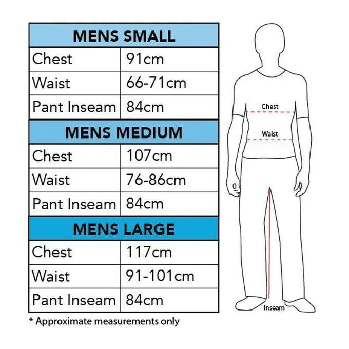 Robin Deluxe Muscle Chest Costume Size L - Image 2