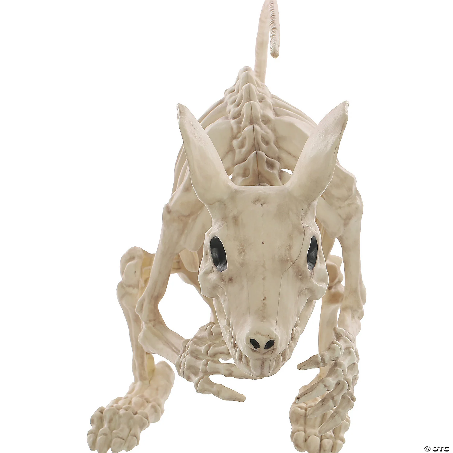 Skeleton Rat Attack - Image 3