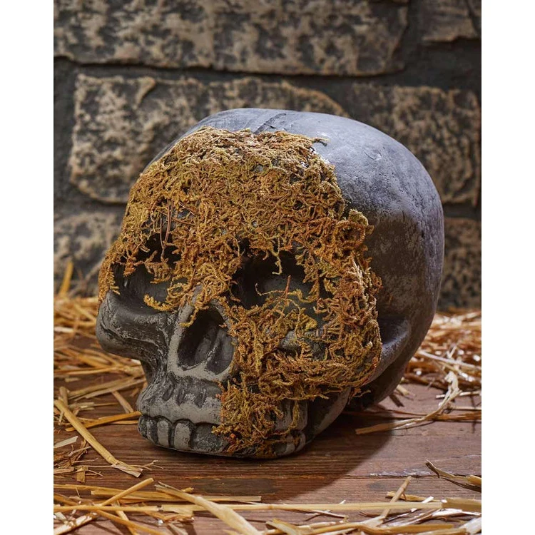 Skeleton Skull Moss Covered No Jaw