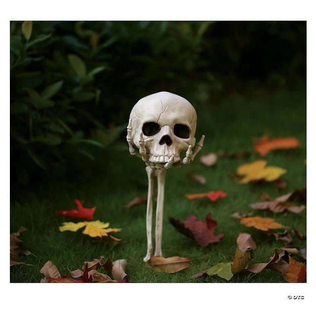 Skull In Hand Ground Breaker