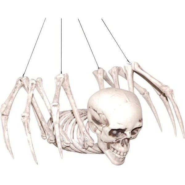 13" Spider Skeleton