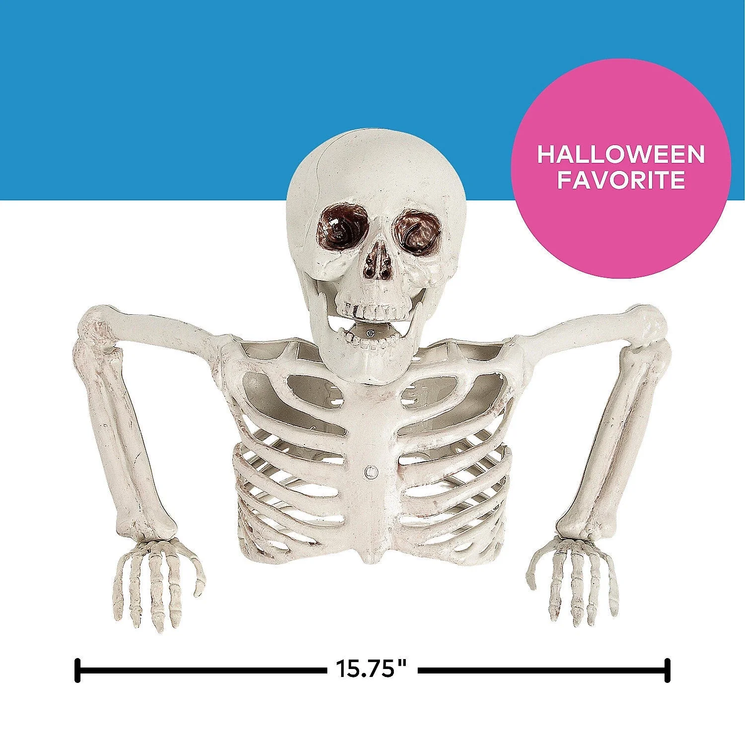 Table Top Half Skeleton Centerpiece, 15 3/4" x 10 3/4" - Image 3