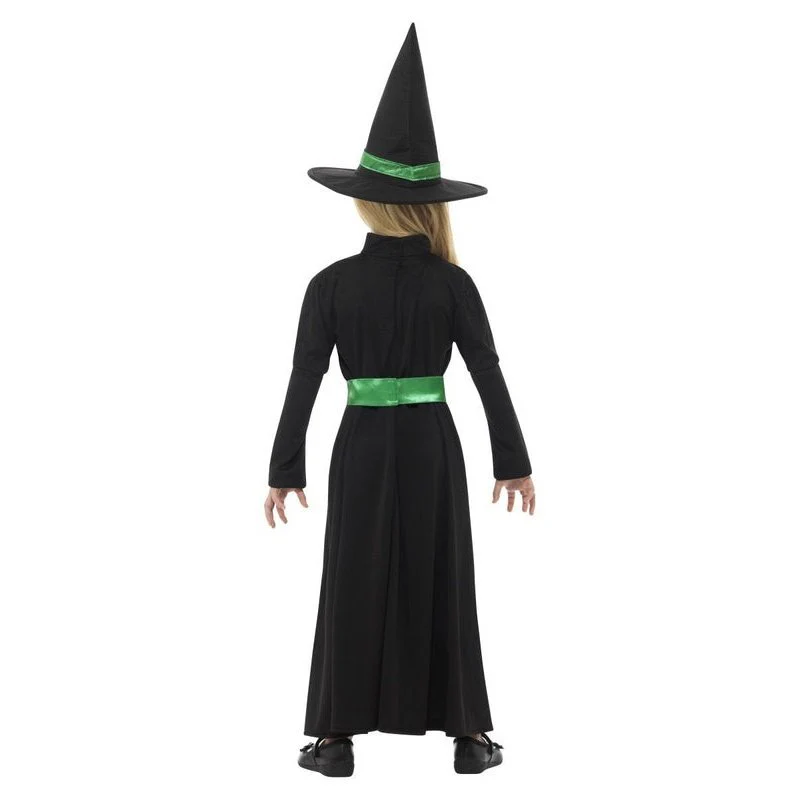 Wicked Witch Costume - Image 3